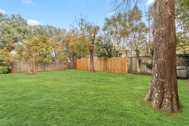 a view of a yard with a tree