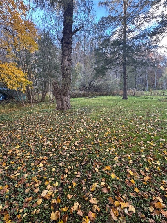 2255 Oneida Street Paris, NY 13322 - Photo 8 of 25