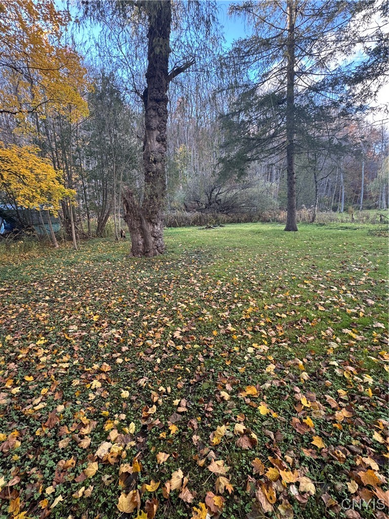 2255 Oneida Street Paris, NY 13322 - Photo 8 of 25