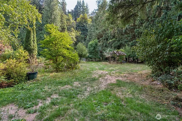 a view of a tree in the middle of a yard