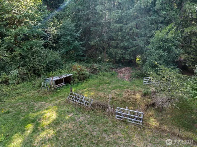 a view of a yard with plants and large trees