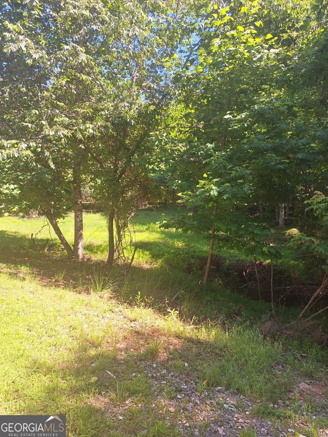 0 Judah Road Morganton, GA 30560 - Photo 2 of 8
