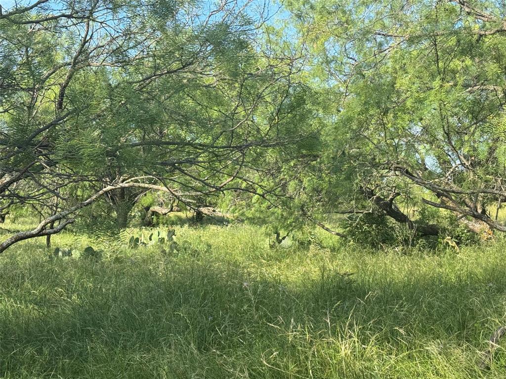 794 West Antelope Road Windthorst, TX 76389 - Photo 23 of 35 a view of a yard