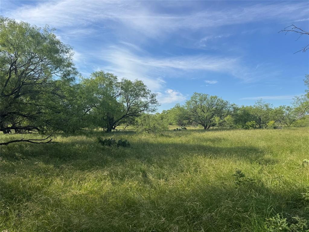 794 West Antelope Road Windthorst, TX 76389 - Photo 26 of 35