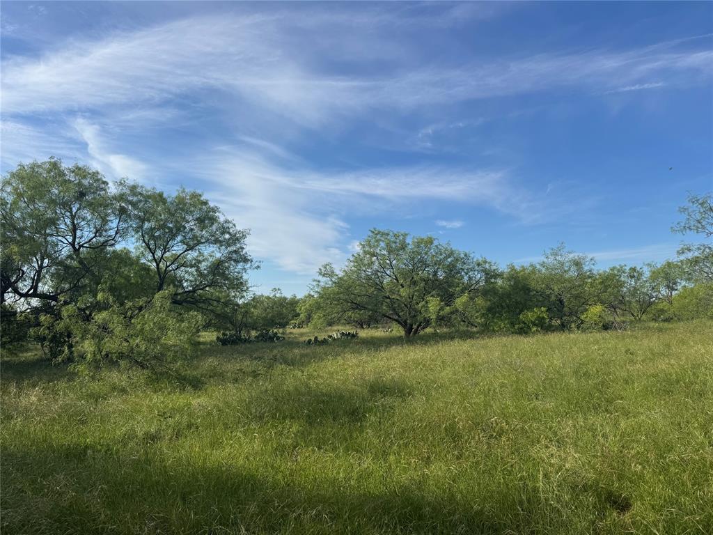 794 West Antelope Road Windthorst, TX 76389 - Photo 28 of 35