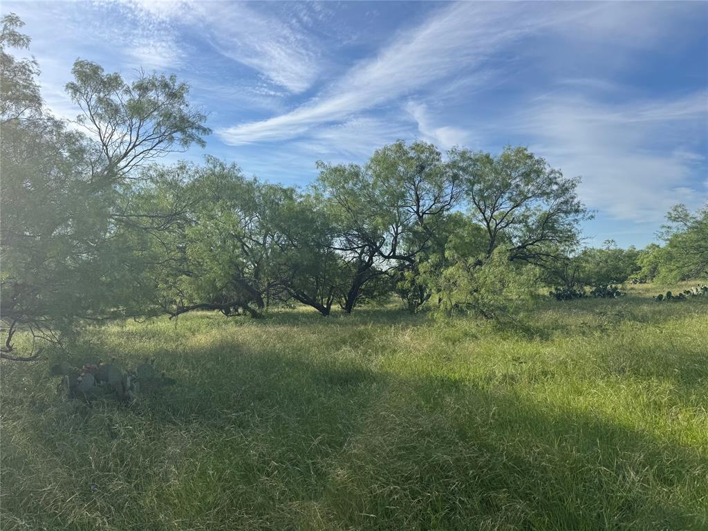 794 West Antelope Road Windthorst, TX 76389 - Photo 29 of 35 a view of a field of grass and trees