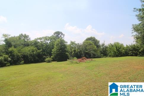 300 Wayne Court Weaver, AL 36277 - Photo 13 of 20
