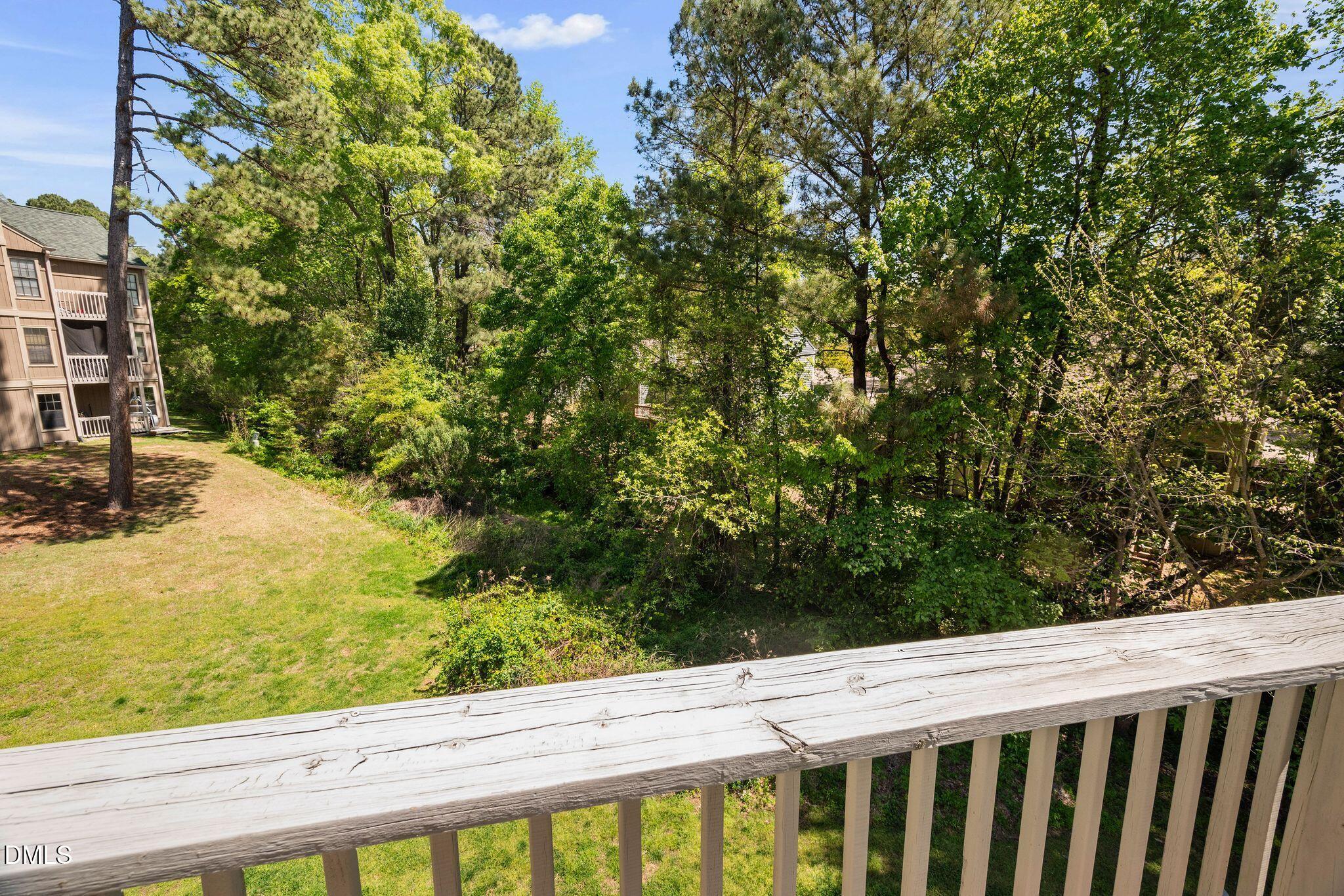 3704 Chimney Ridge Place, Unit 207 Durham, NC 27713 - Photo 20 of 31 Back Deck View