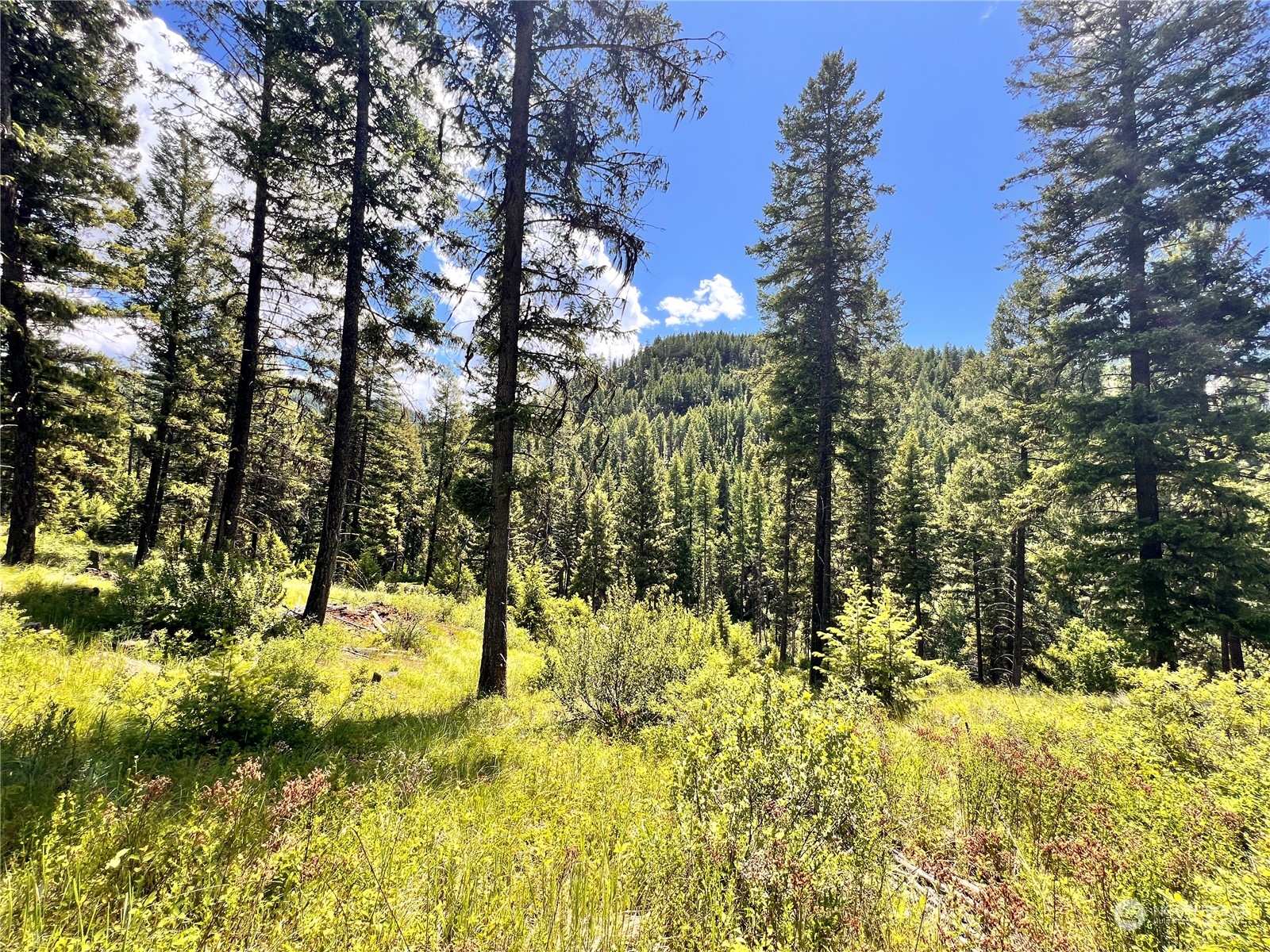 -tbd Old Kettle Falls Road Republic, WA 99166 - Photo 1 of 26 Gallery Image 1