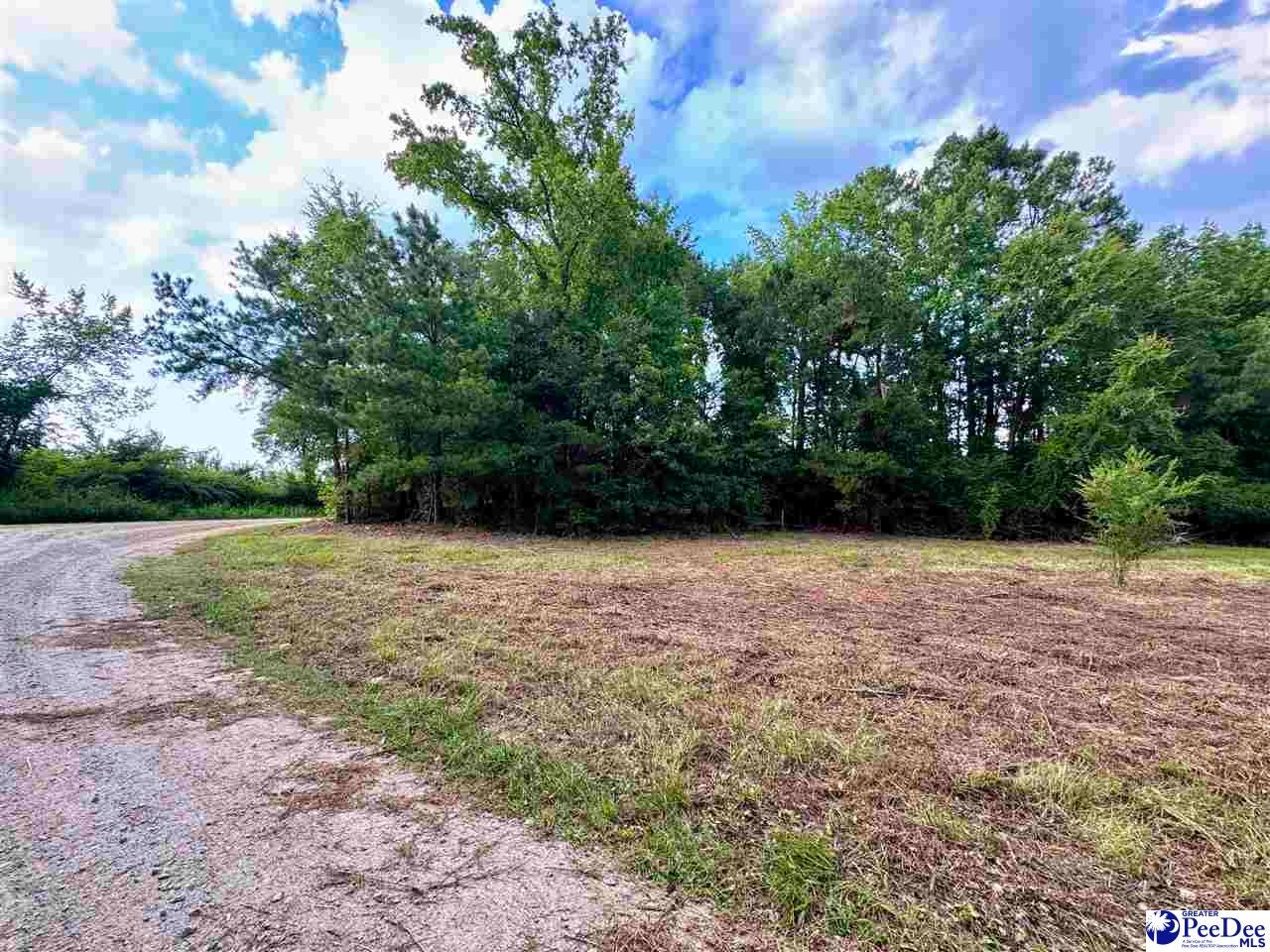 3.40 Freeman Loop Road Chesterfield, SC 29709 - Photo 2 of 9 Gallery Image 2