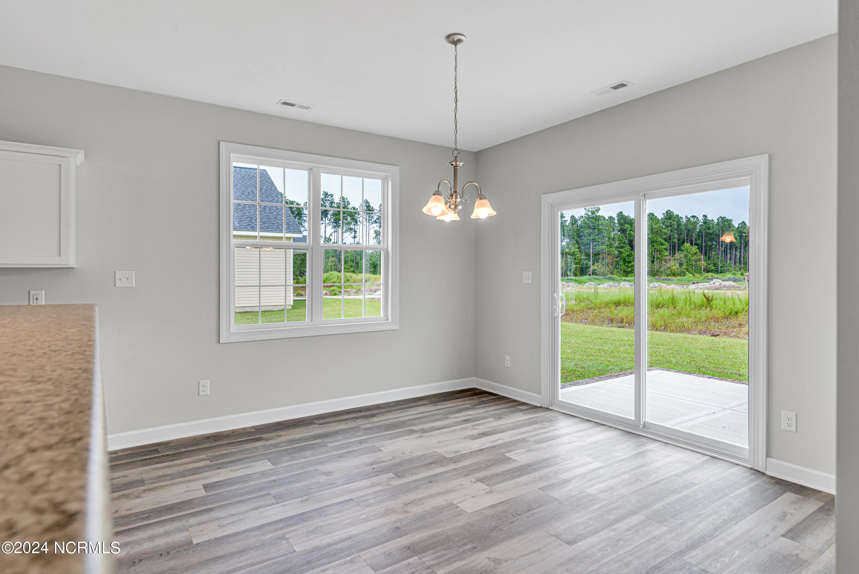 207 Browns Ferry Road Jacksonville, NC 28546 - Photo 11 of 42 DSC_0076