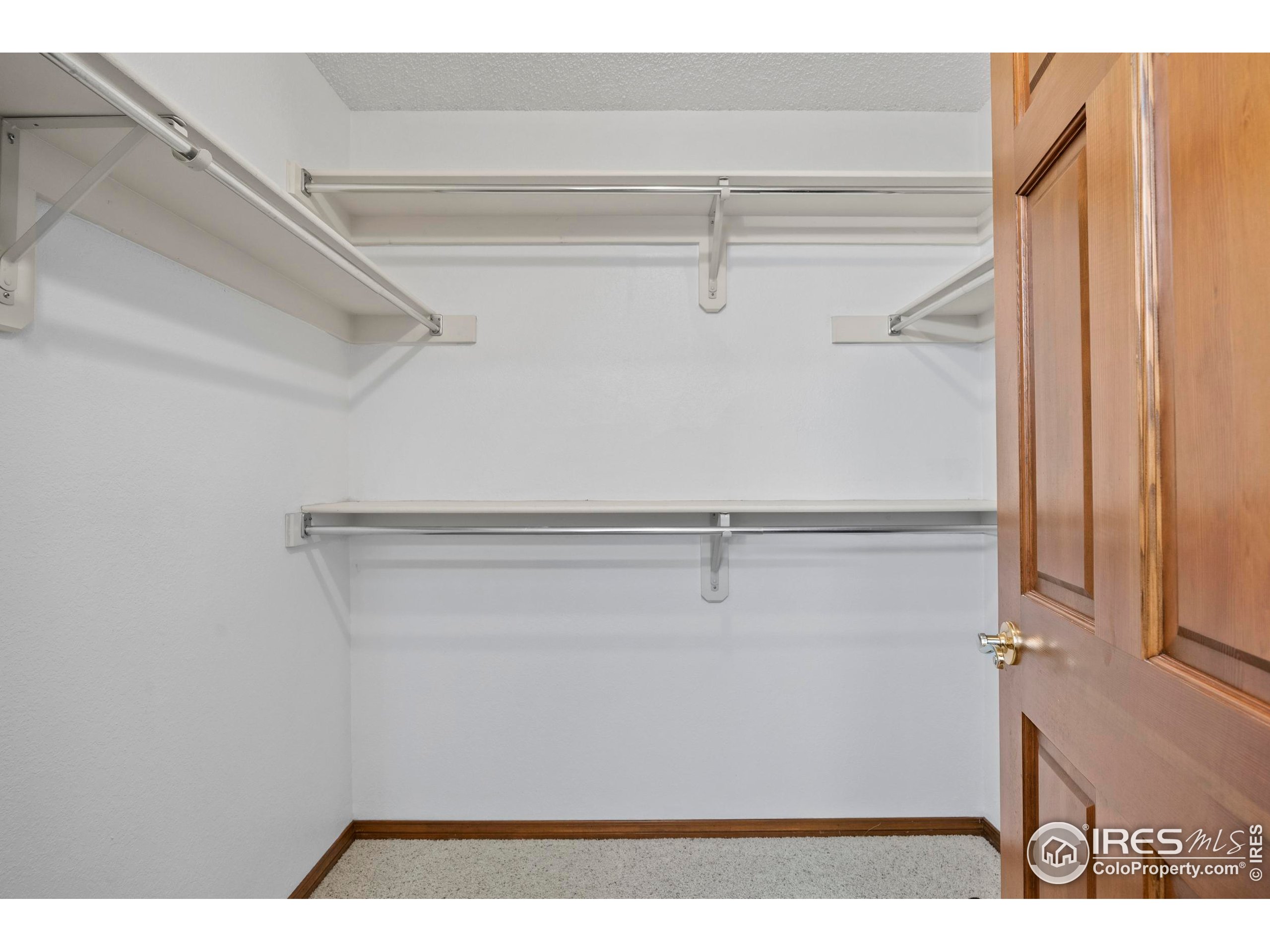 903 Conifer Court Windsor, CO 80550 - Photo 25 of 33 a view of closet