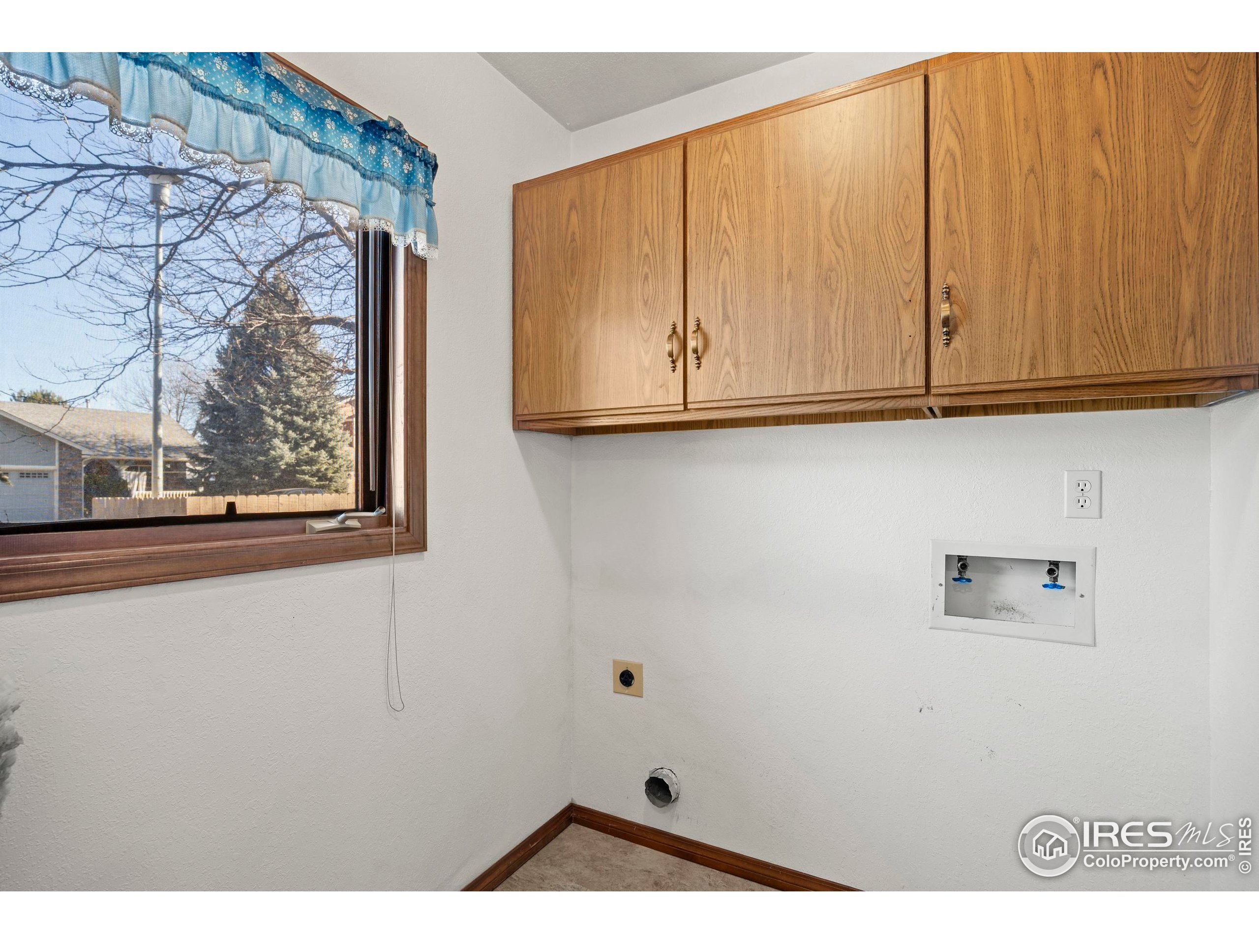 903 Conifer Court Windsor, CO 80550 - Photo 29 of 33 a view of door with wooden wall