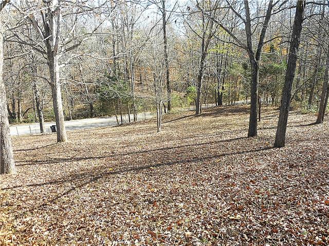 836 Cowan Road Dickson, TN 37055 - Photo 19 of 20 Beautiful woodsy view of the front yard, from the front porch.