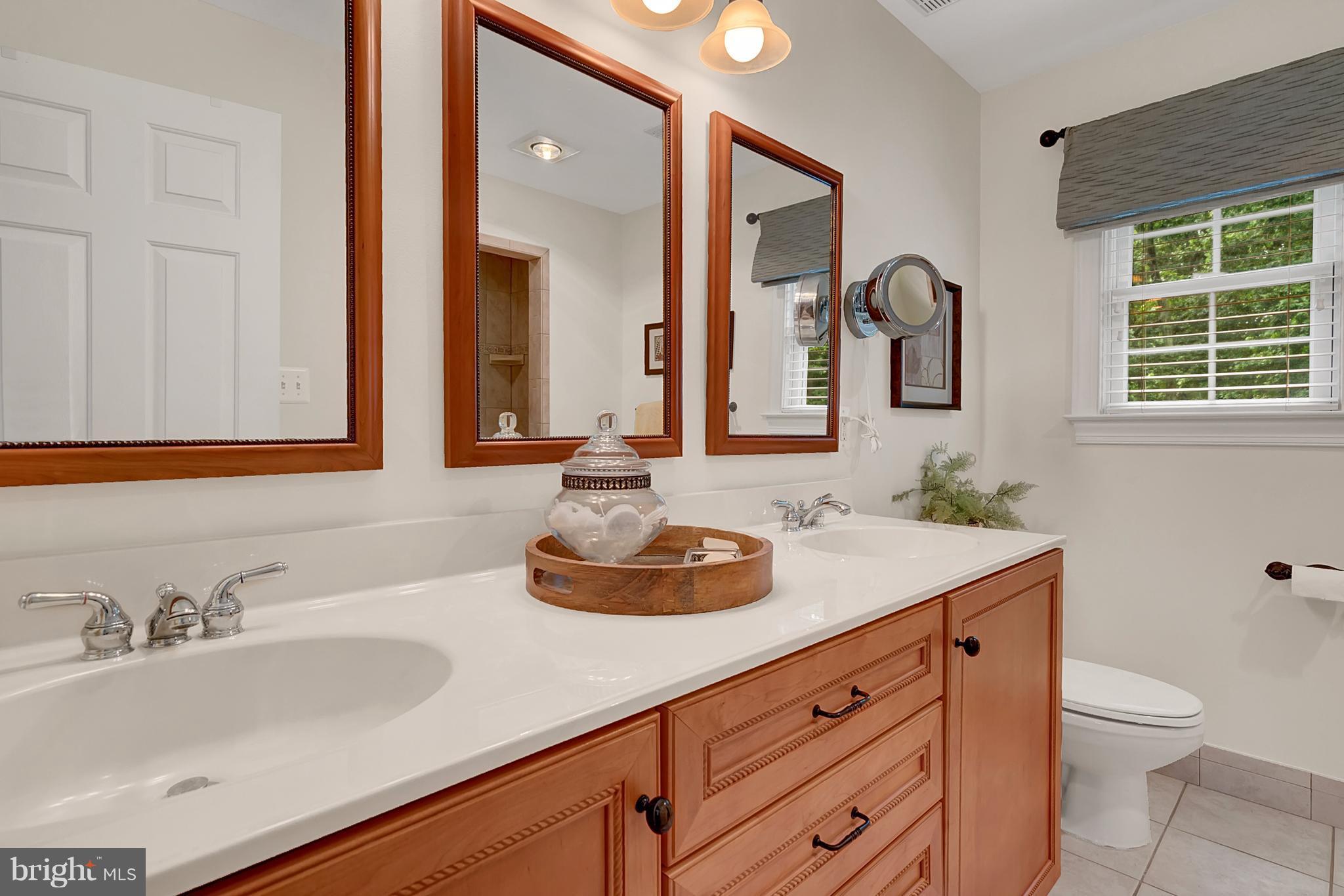 6370 Georgetown Road Broad Run, VA 20137 - Photo 16 of 30 Bath (Master)