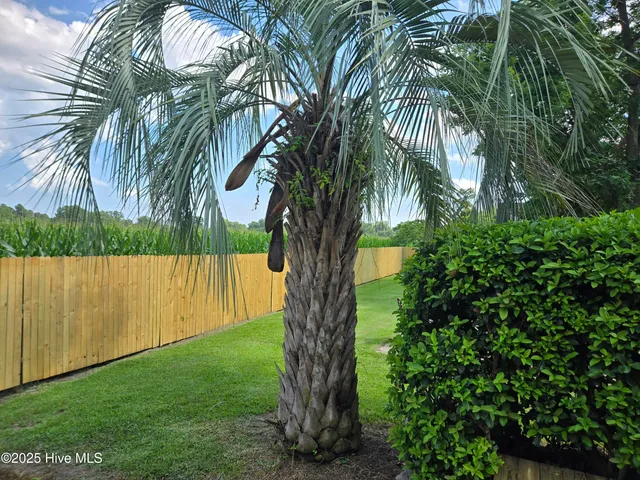 $459,000 | 121 Schley Avenue, Lake Waccamaw, NC 28450