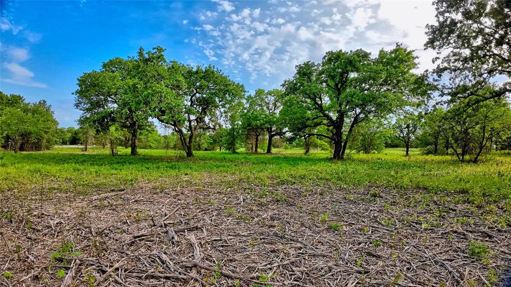Tbd Tradewinds Road Nocona, TX 76255 - Photo 13 of 32 a view of grassy field with benches