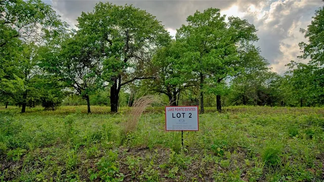 a view of backyard with tree