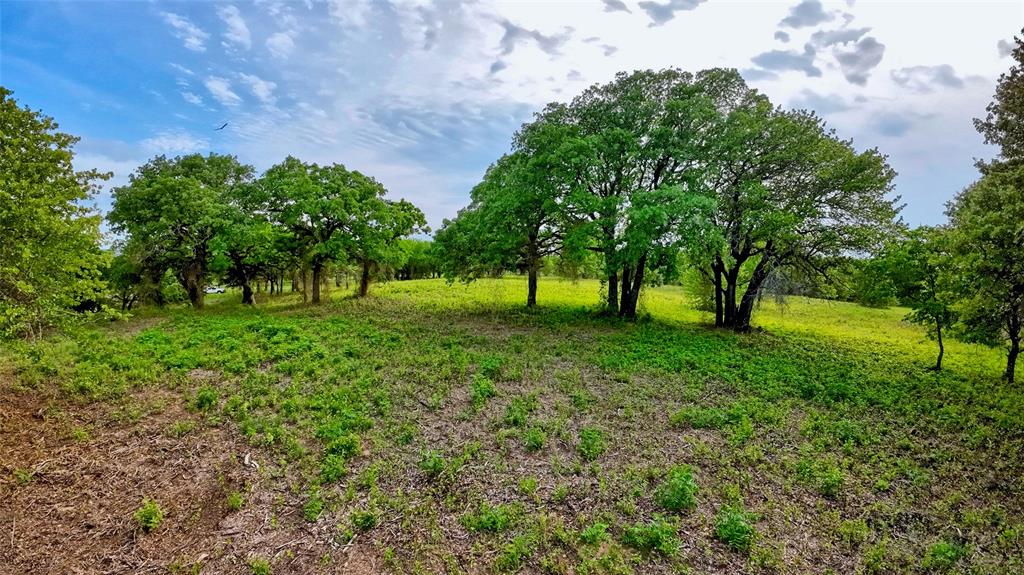 Tbd Tradewinds Road Nocona, TX 76255 - Photo 17 of 32 a view of park with trees