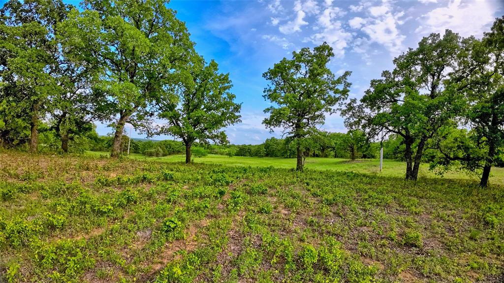 Tbd Tradewinds Road Nocona, TX 76255 - Photo 2 of 32 a view of a park with large trees