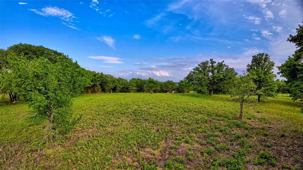 Tbd Tradewinds Road Nocona, TX 76255 - Photo 21 of 32 a view of a field of grass and a tree