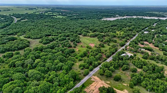 a view of a field with a tree