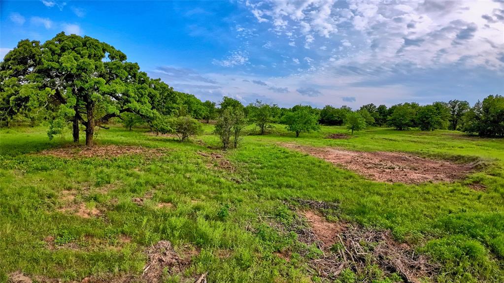 Tbd Tradewinds Road Nocona, TX 76255 - Photo 24 of 32 a view of a field with a tree