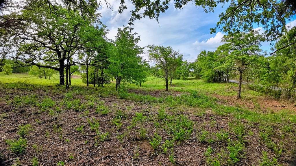 Tbd Tradewinds Road Nocona, TX 76255 - Photo 6 of 32 a view of backyard with green space