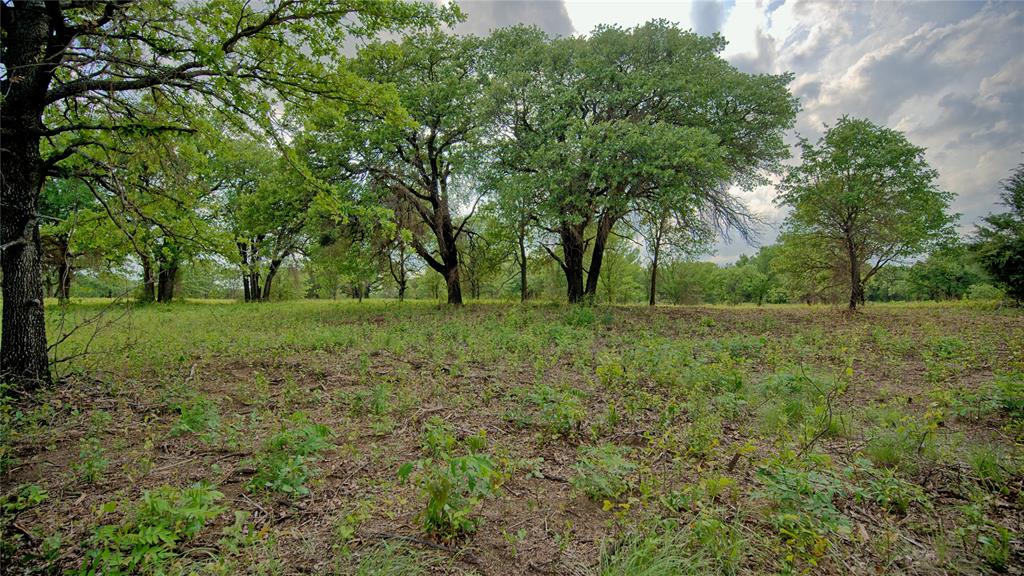 Tbd Tradewinds Road Nocona, TX 76255 - Photo 9 of 32 a view of grassy field with trees