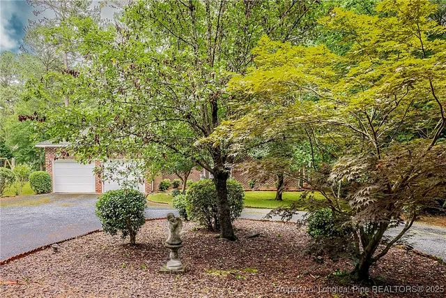 a view of a garden with plants and large trees