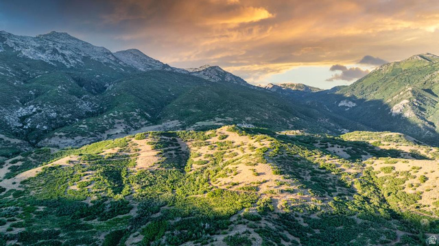 10 West Three Ridge, Unit 15 Alpine, UT 84004 - Photo 8 of 26