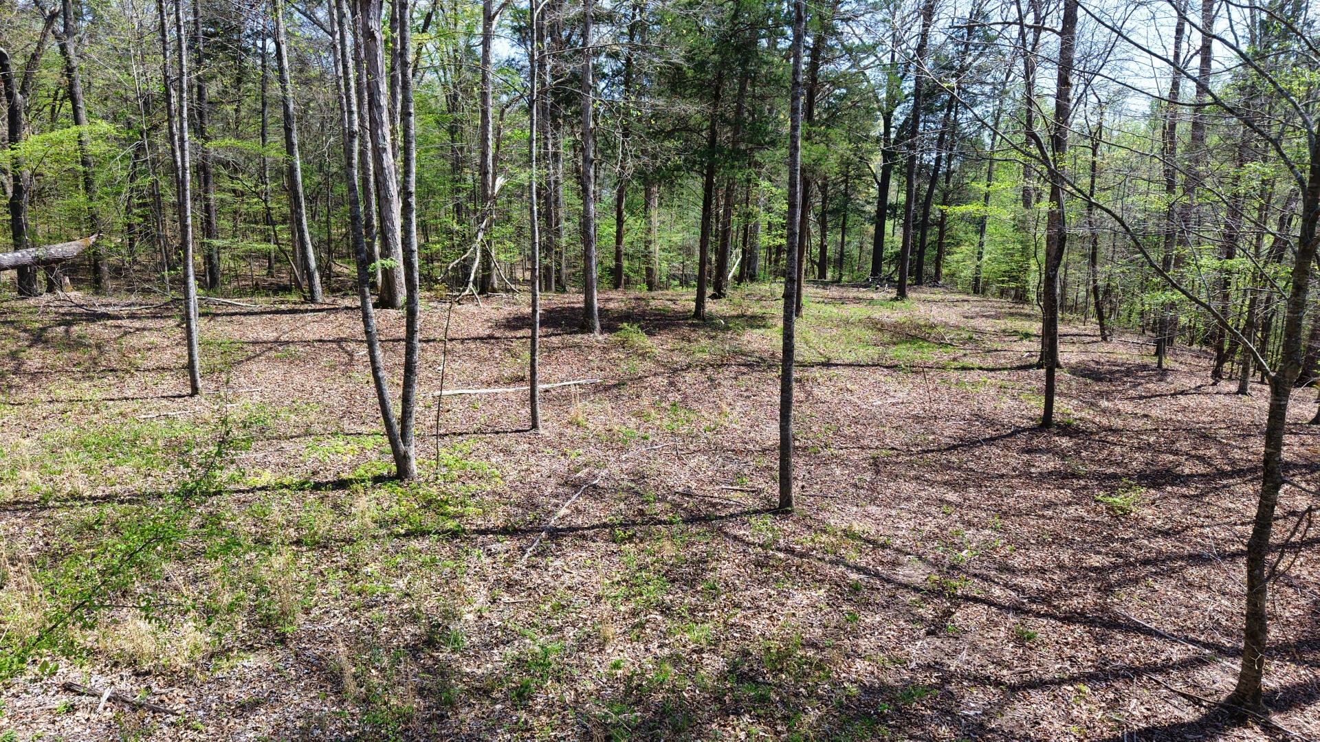 0 Brown Hollow Road Lyles, TN 37098 - Photo 15 of 18