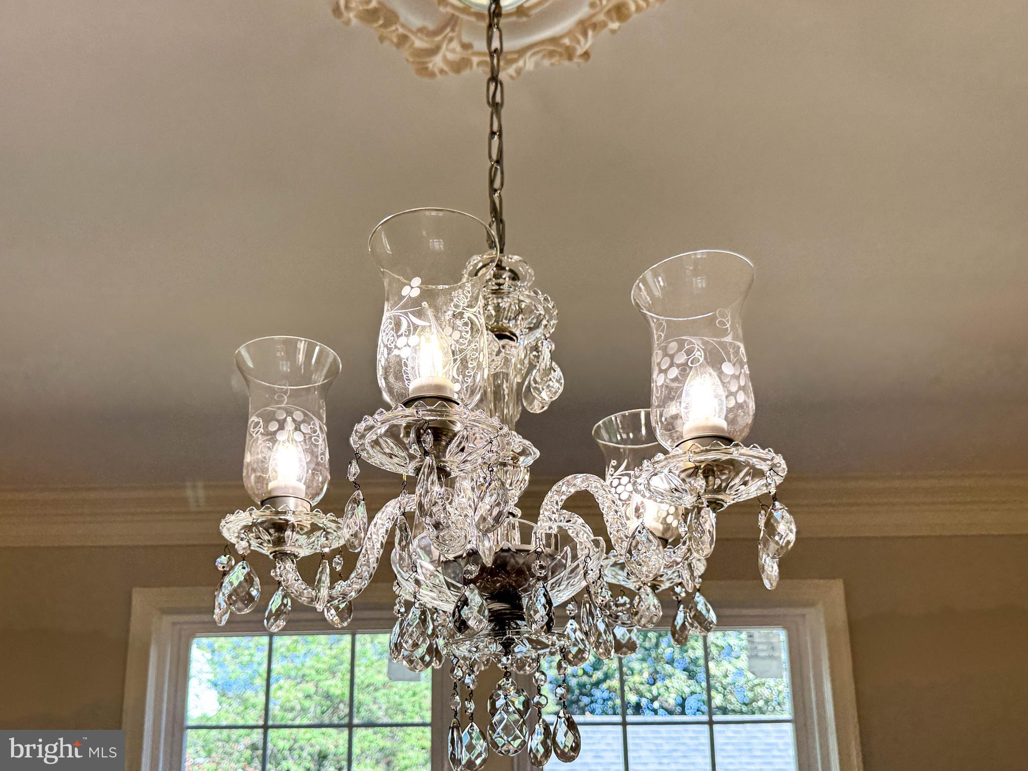 9421 Thornhill Road Silver Spring, MD 20901 - Photo 11 of 42 Dining Room Chandelier
