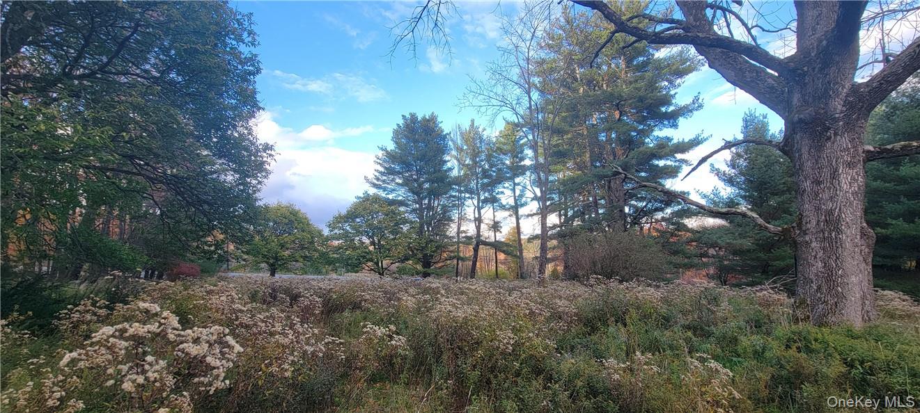 1195 State Rt 17B Mongaup Valley, NY 12762 - Photo 12 of 25 a view of a forest with trees in the background