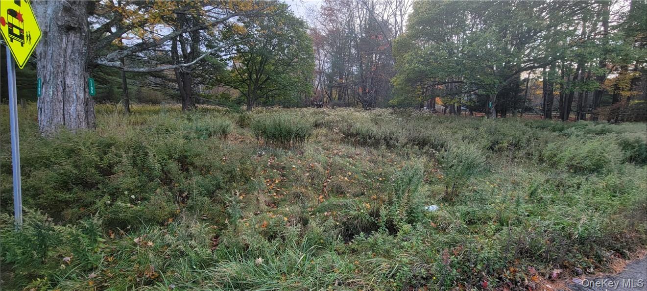 1195 State Rt 17B Mongaup Valley, NY 12762 - Photo 13 of 25 a view of a forest with a tree