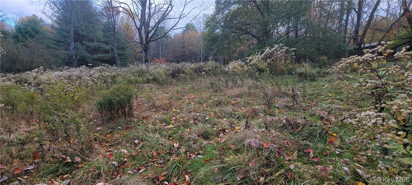 1195 State Rt 17B Mongaup Valley, NY 12762 - Photo 15 of 25 a view of bushes and trees