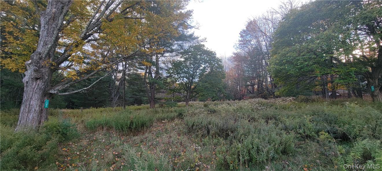 1195 State Rt 17B Mongaup Valley, NY 12762 - Photo 17 of 25 a view of outdoor space and trees