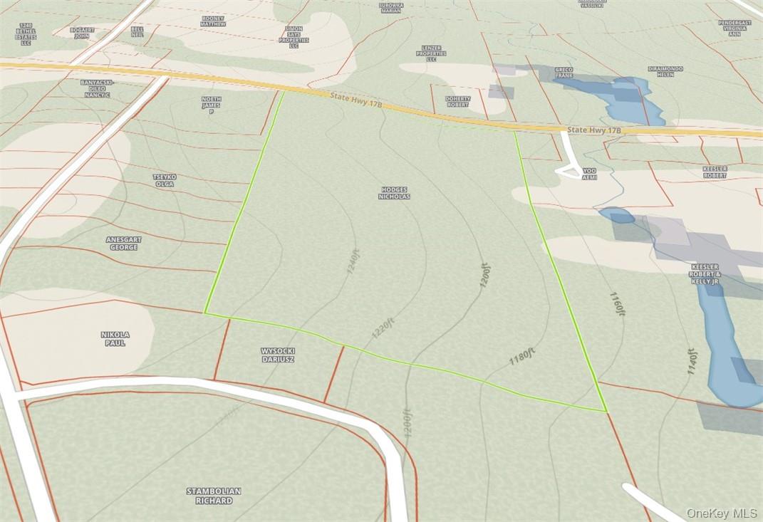 1195 State Rt 17B Mongaup Valley, NY 12762 - Photo 20 of 25 a bathroom with a bathtub