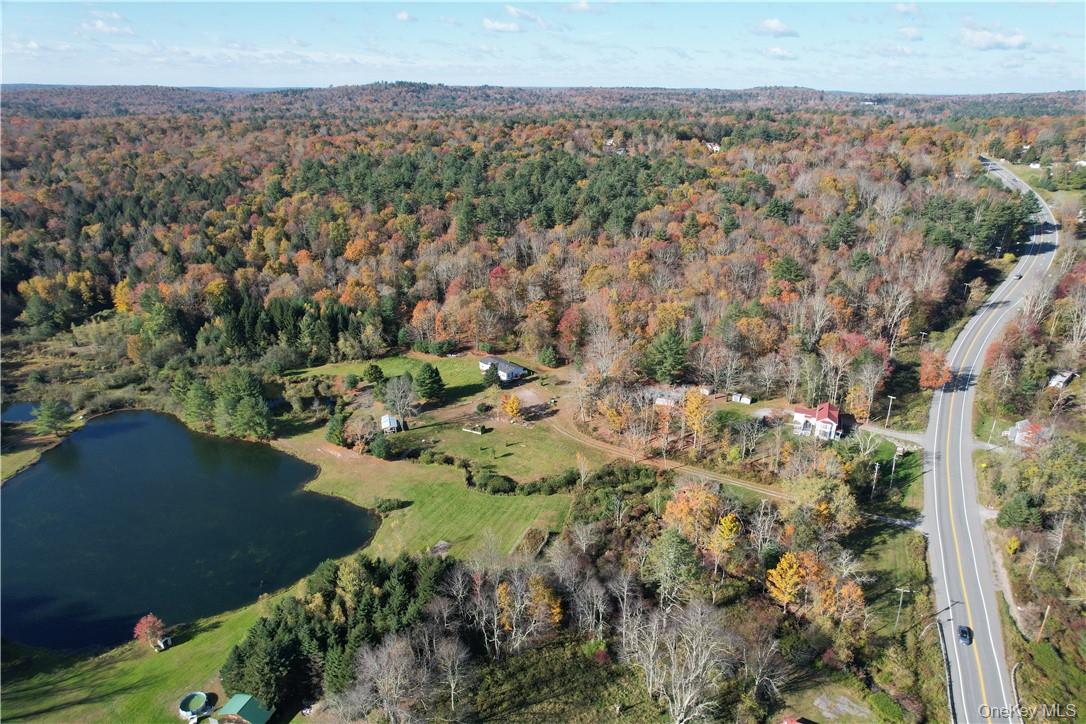 1195 State Rt 17B Mongaup Valley, NY 12762 - Photo 2 of 25 an aerial view of a house with a yard