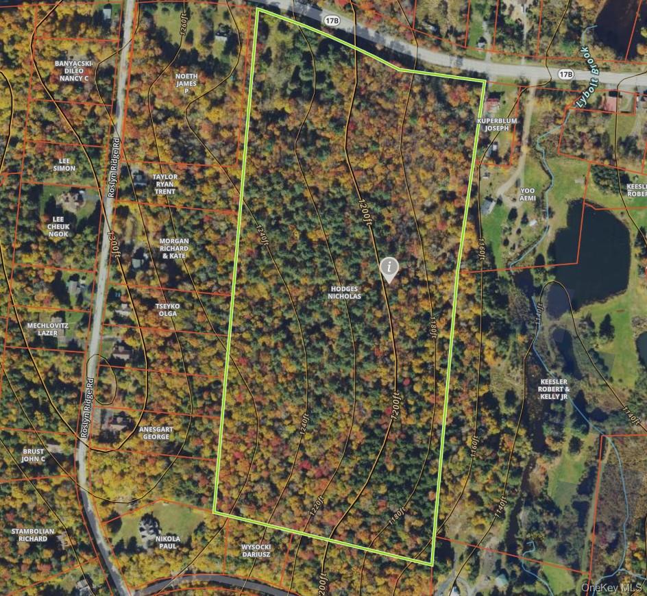 1195 State Rt 17B Mongaup Valley, NY 12762 - Photo 22 of 25 view of a bathroom