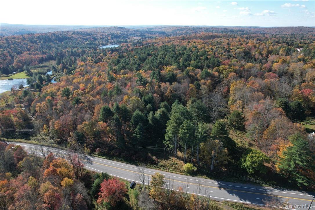 1195 State Rt 17B Mongaup Valley, NY 12762 - Photo 23 of 25 an aerial view of residential house with outdoor space