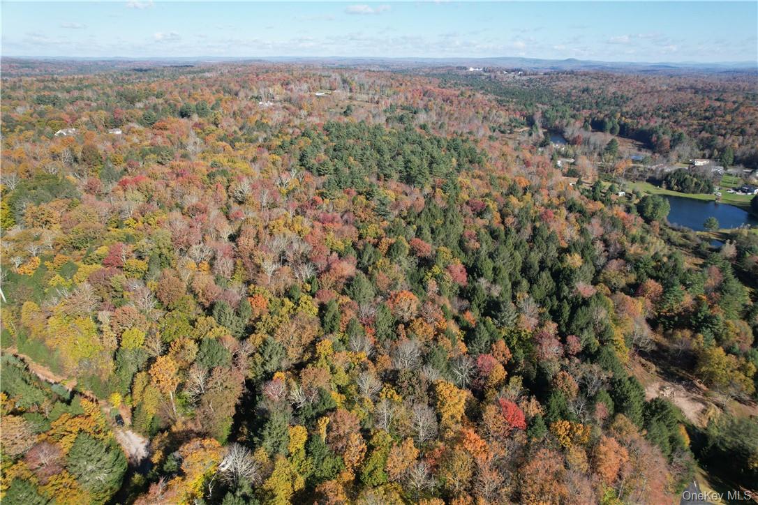 1195 State Rt 17B Mongaup Valley, NY 12762 - Photo 24 of 25 an aerial view of multiple house