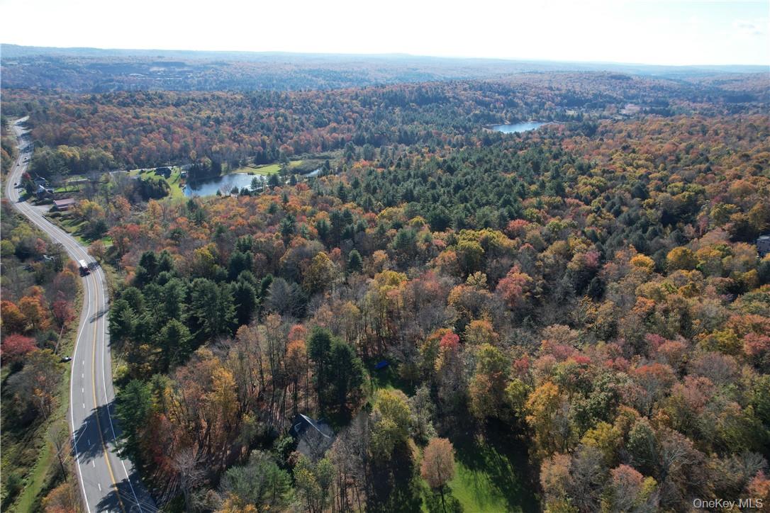 1195 State Rt 17B Mongaup Valley, NY 12762 - Photo 25 of 25 an aerial view of house with yard and mountain view in back