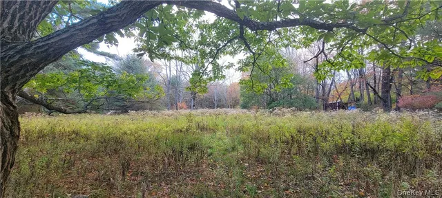 a view of backyard with green space