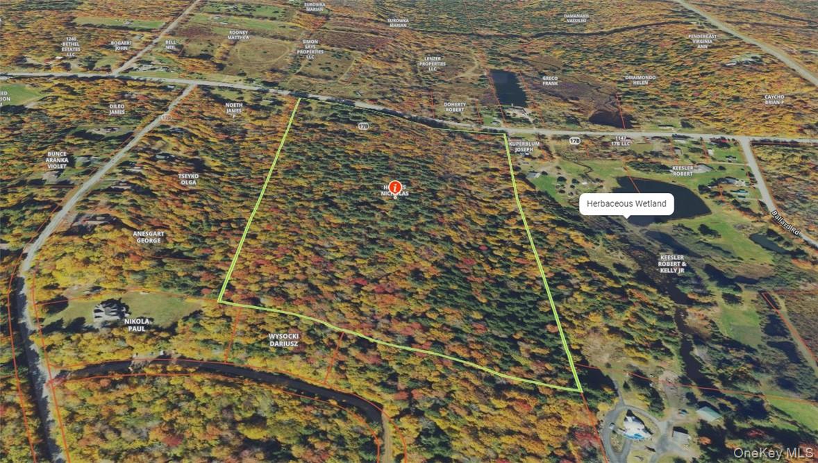 1195 State Rt 17B Mongaup Valley, NY 12762 - Photo 5 of 25 view of a bathroom