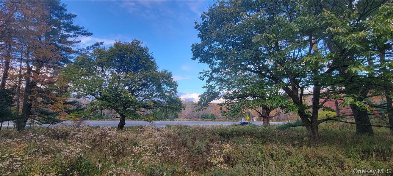 1195 State Rt 17B Mongaup Valley, NY 12762 - Photo 6 of 25 a view of backyard with green space