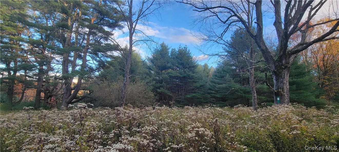 1195 State Rt 17B Mongaup Valley, NY 12762 - Photo 9 of 25 a backyard of a house