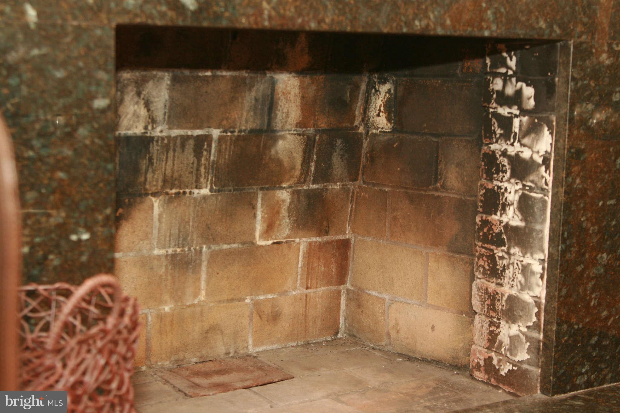 6024 Craig Street Springfield, VA 22150 - Photo 26 of 30 Fireplace
