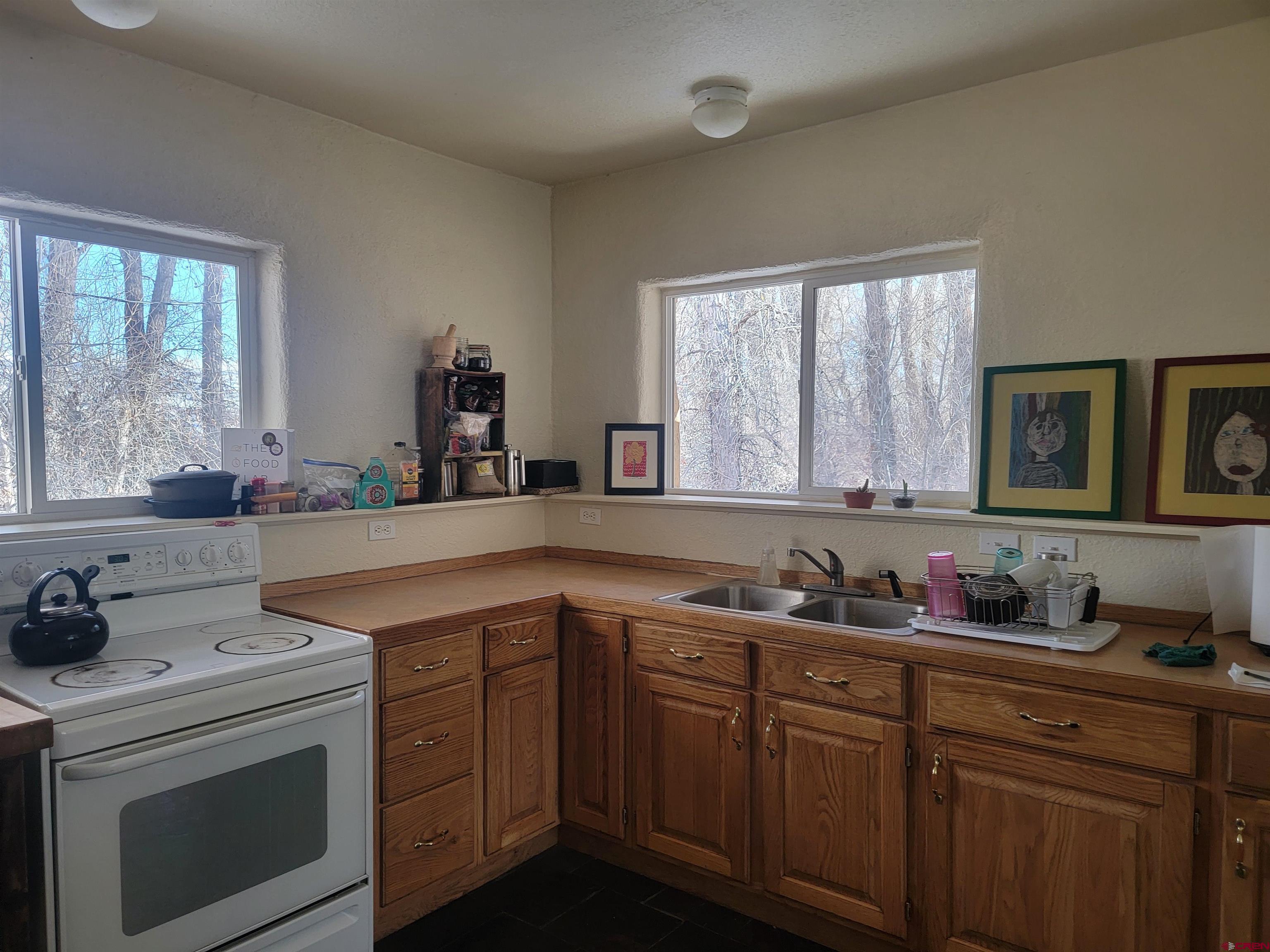 453 Rio Grande Road South Fork, CO 81154 - Photo 19 of 34 Gallery Image 19