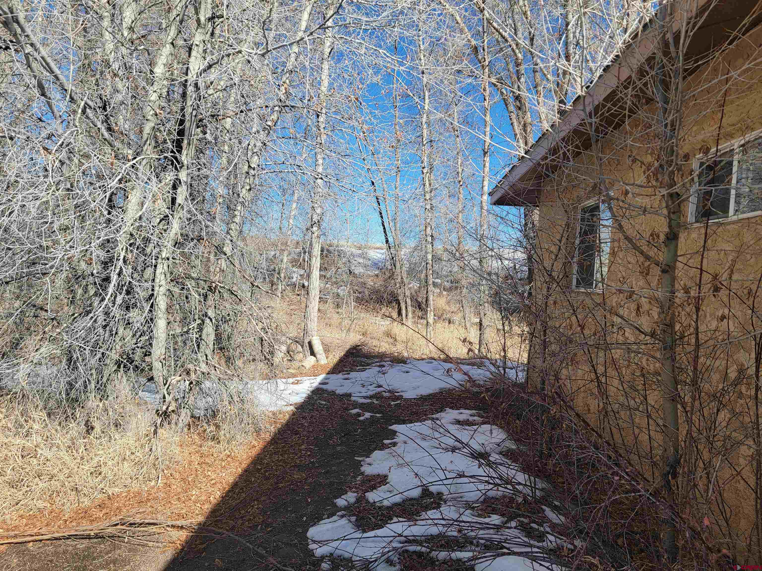 453 Rio Grande Road South Fork, CO 81154 - Photo 6 of 34 Gallery Image 6